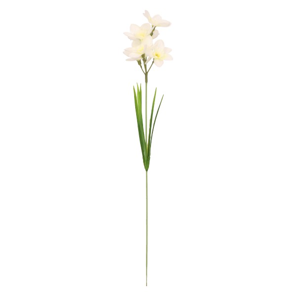 Żonkil gałązka 40 cm mix 3 kolorów ASC27811