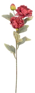 Piwonia gałązka 68 cm mix 7 kolorów AST50469-MIX