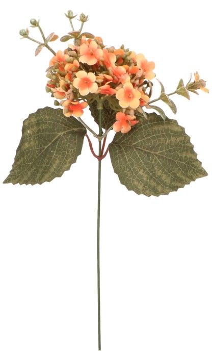 Hortensja pik 29 cm mix 6 kolorów AST50320-MIX