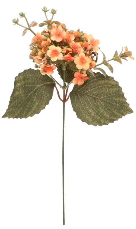 Hortensja pik 29 cm mix 6 kolorów AST50320-MIX