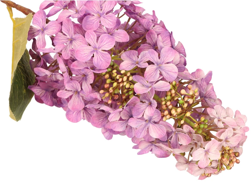 Hortensja bukietowa 80cm ASC25853-mix 6 kolorów – zdjęcie 5