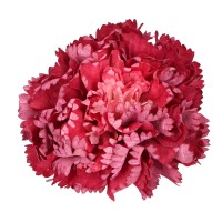 Goździk wyrobowy 10 cm śliwkowy ASC28208-3