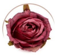 Róża wyrobowa 6 cm bordowa ASC28203-5