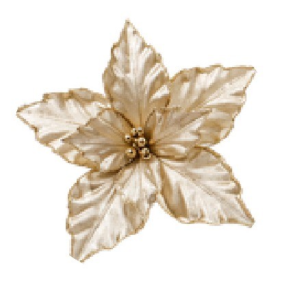 Gwiazda betlejemska 28 cm szampańska ASC27078-4