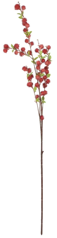 Oset gałązka 80 cm mix 5 kolorów ASC28441-MIX