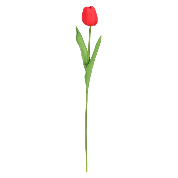 Tulipan 48 cm ASC27734