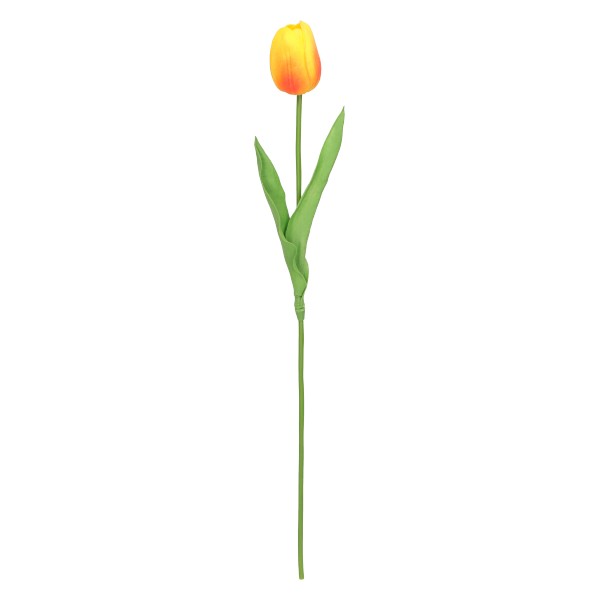 Tulipan 48 cm ASC27734