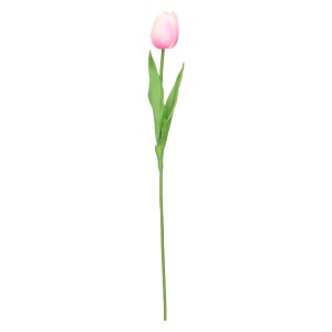 Tulipan 48 cm ASC27734