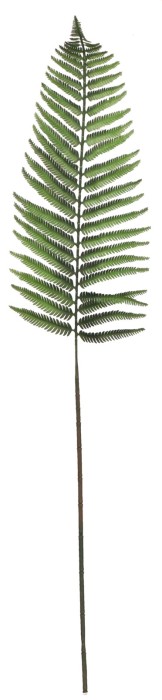 Liść sztuczny 81 cm ASC26220-2