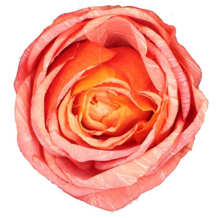 Róża wyrobowa 9 cm łososiowo-pomarańczowa ASC28202-4