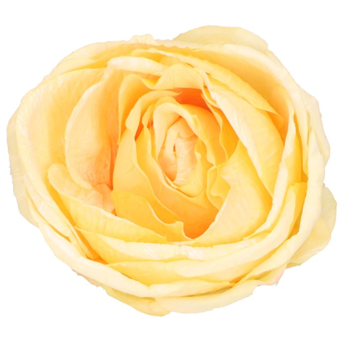 Róża wyrobowa 9 cm żółta ASC28202-7