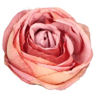Róża wyrobowa 9 cm pudrowy róż ASC28202-10