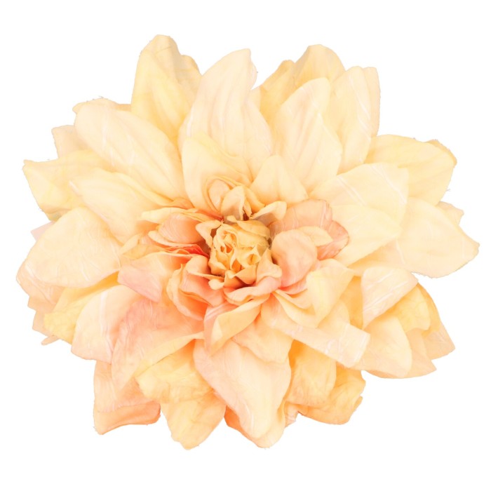 Dalia wyrobowa 15 cm brzoskwiniowo-kremowa ASC28200-3