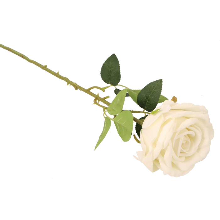 12d3210017594e5551c0c276c7d43891.png