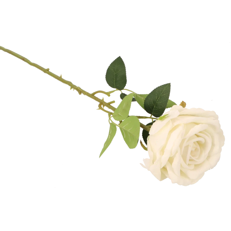 12d3210017594e5551c0c276c7d43891.png