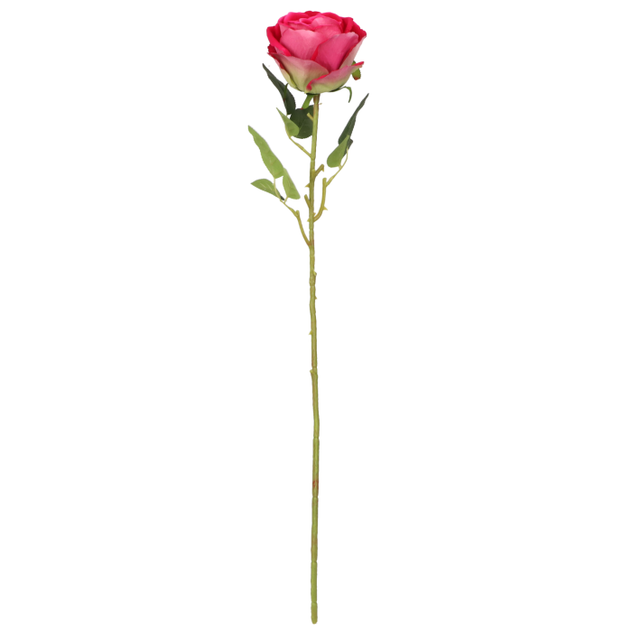 c23328be52a0cbb98b825edbad68479b.png