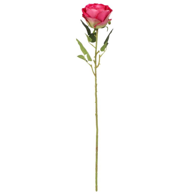 c23328be52a0cbb98b825edbad68479b.png