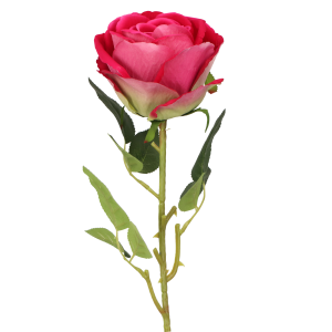 a7197d7af14b42a30b23d54d3fed7637.png