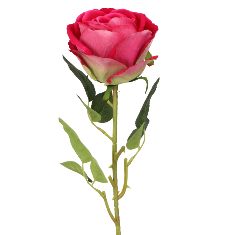 a7197d7af14b42a30b23d54d3fed7637.png