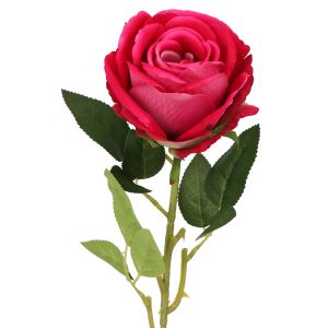 f0c8cf87cff4802aa1d585fcbc28fd97.png