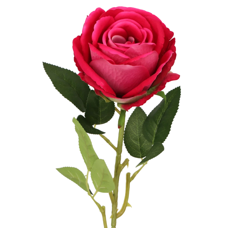f0c8cf87cff4802aa1d585fcbc28fd97.png