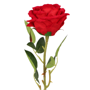 b6f5a49334ce257e4d7f2cf4cb1a4321.png