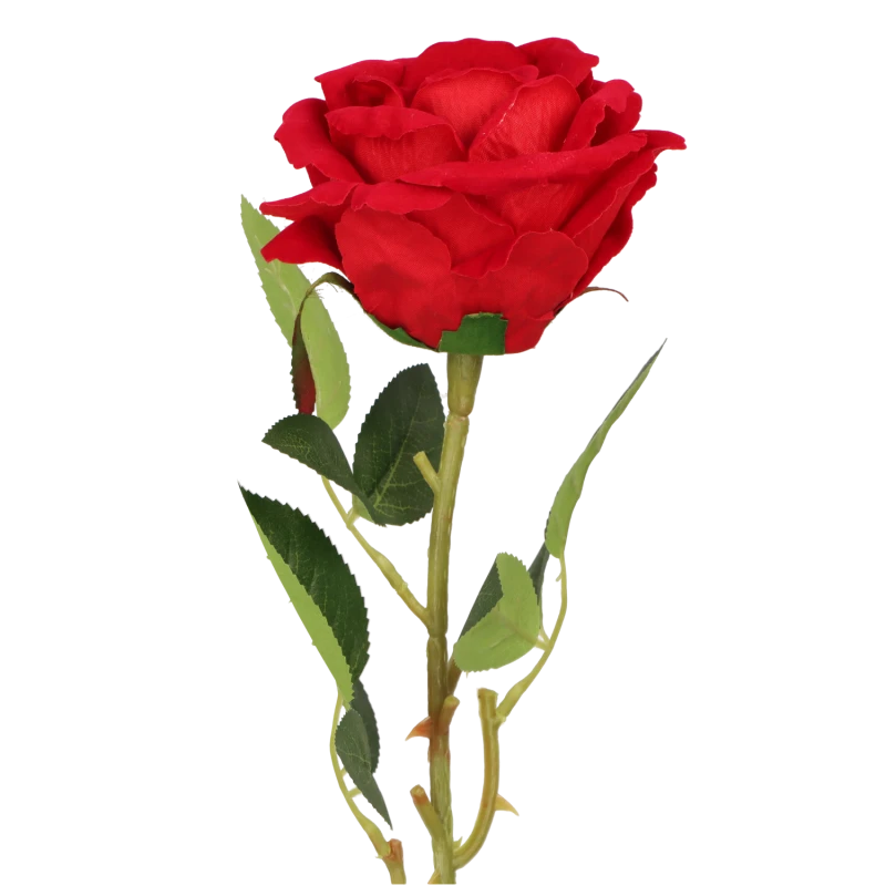 b6f5a49334ce257e4d7f2cf4cb1a4321.png