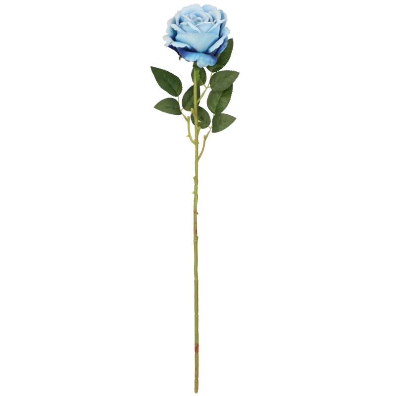 4b26bfc929f41ea86d5db3dfc54a9464.png
