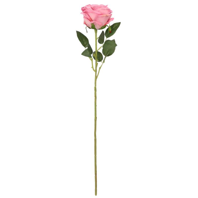 3e3c3b7041dd47b2427aee7368e301f2.png