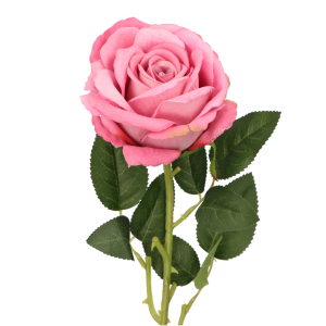1f700055903a8345b0b4ececdc875efc.png