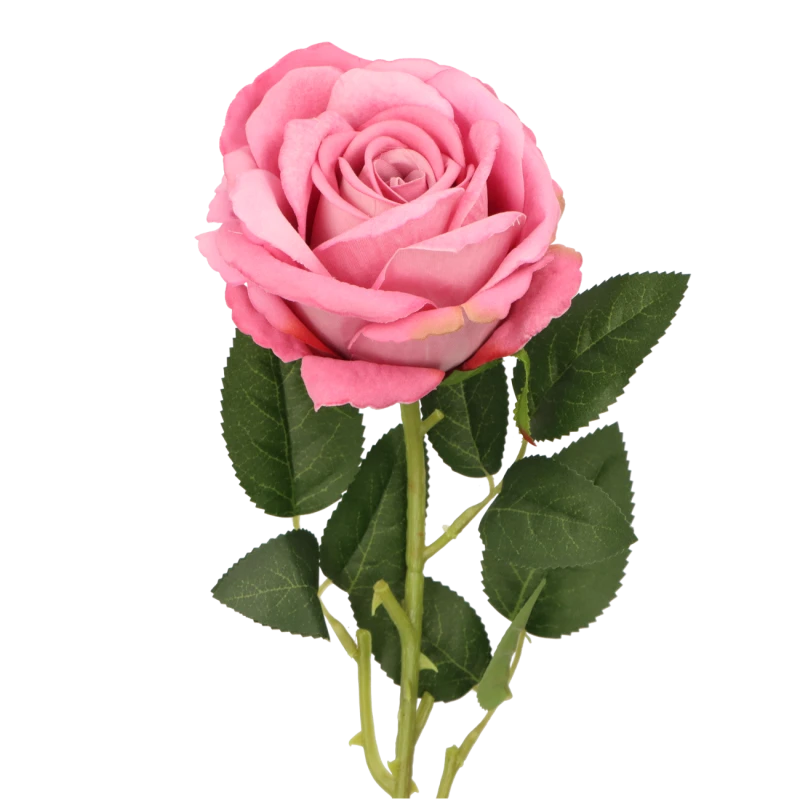 1f700055903a8345b0b4ececdc875efc.png