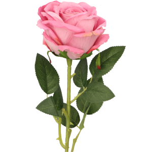 ce69f57362bc8b02e2c2bf1f7536b469.png