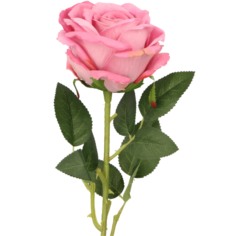 ce69f57362bc8b02e2c2bf1f7536b469.png