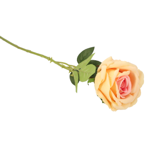 74f30790acc6efe6e3eb99b8af7dd410.png