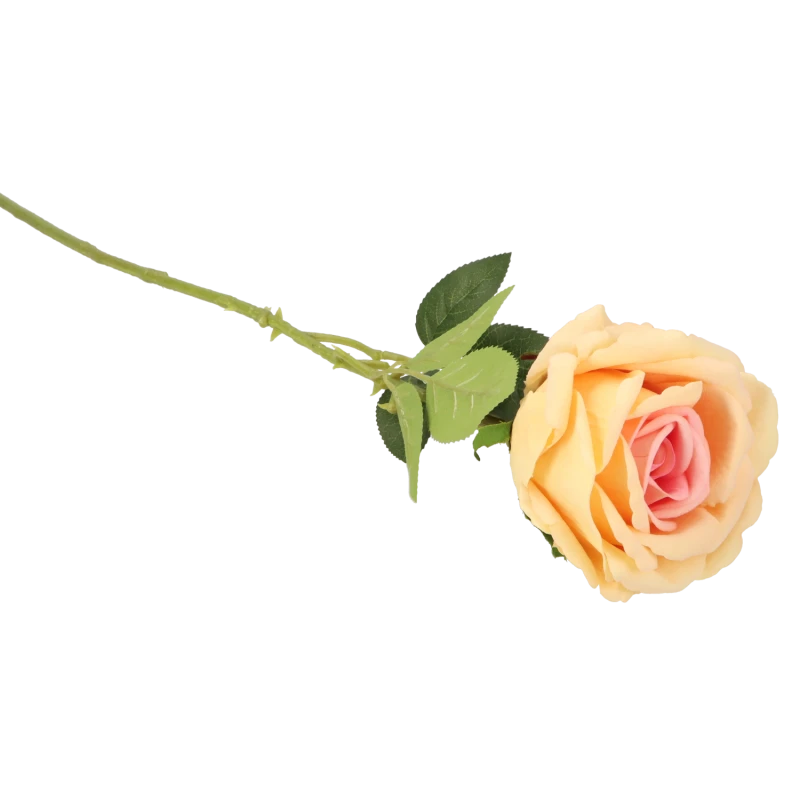 74f30790acc6efe6e3eb99b8af7dd410.png