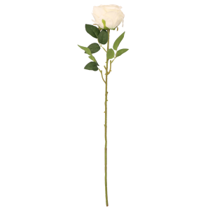 5de56c51629e79bdaf37e8e3b0a17580.png