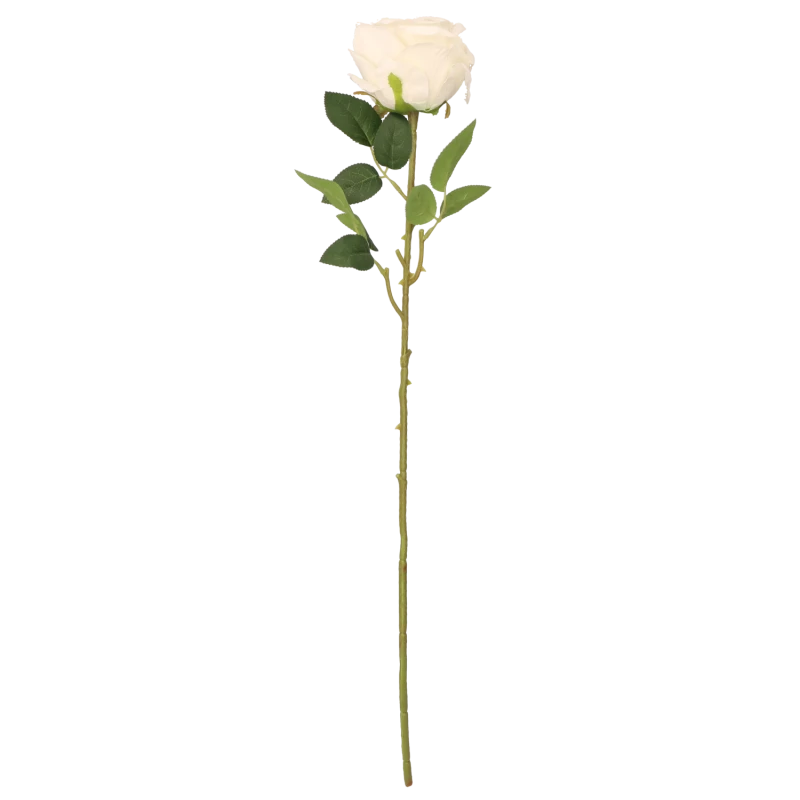 5de56c51629e79bdaf37e8e3b0a17580.png