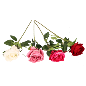 f6b288fb6588ec6ff4a3c19e660e635f.png