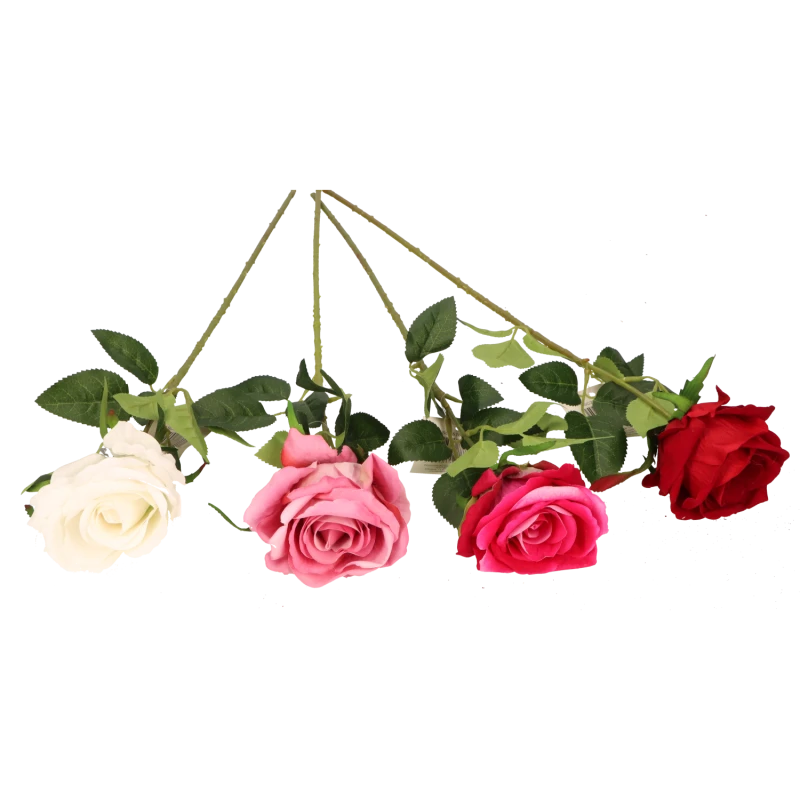f6b288fb6588ec6ff4a3c19e660e635f.png