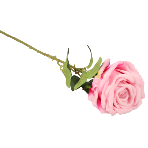 81544f36c7847882153d11e50961465d.png