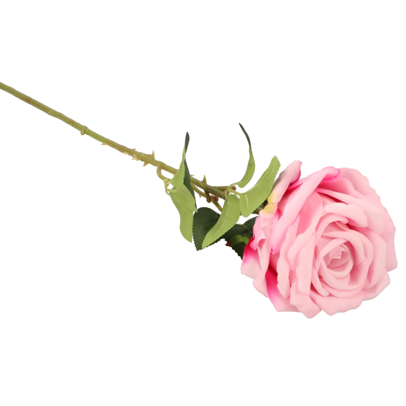 81544f36c7847882153d11e50961465d.png