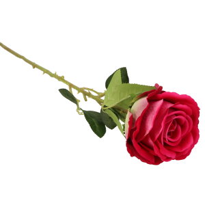 4e8c874d3995b171296b99b18c84a5de.png