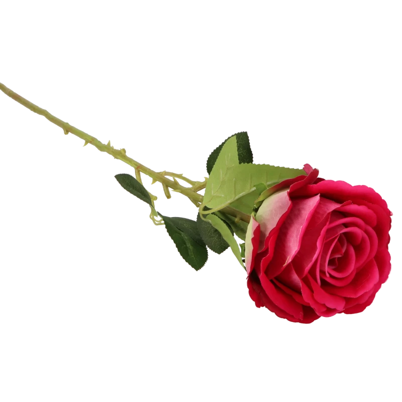 4e8c874d3995b171296b99b18c84a5de.png