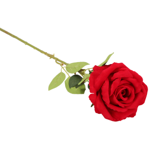ef890ce9d9f5b02e50d4b298052af38e.png