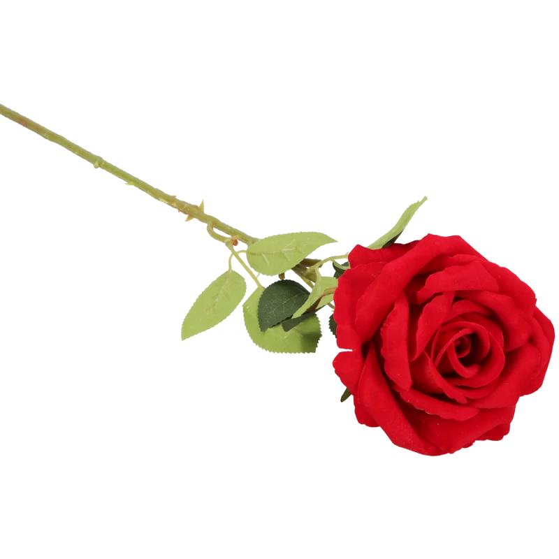ef890ce9d9f5b02e50d4b298052af38e.png