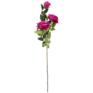 a534a6f5f127e1e6bd3c4bfc3840fb29.png