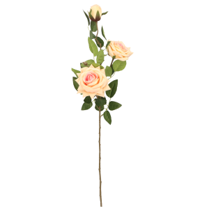 502502e103fa63ca92f1bcffc3488bcf.png