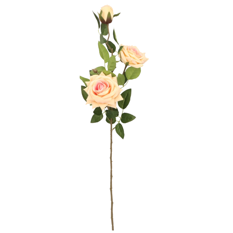 502502e103fa63ca92f1bcffc3488bcf.png