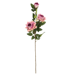 d1143181a7bfbc4d6388a6b026bb6029.png