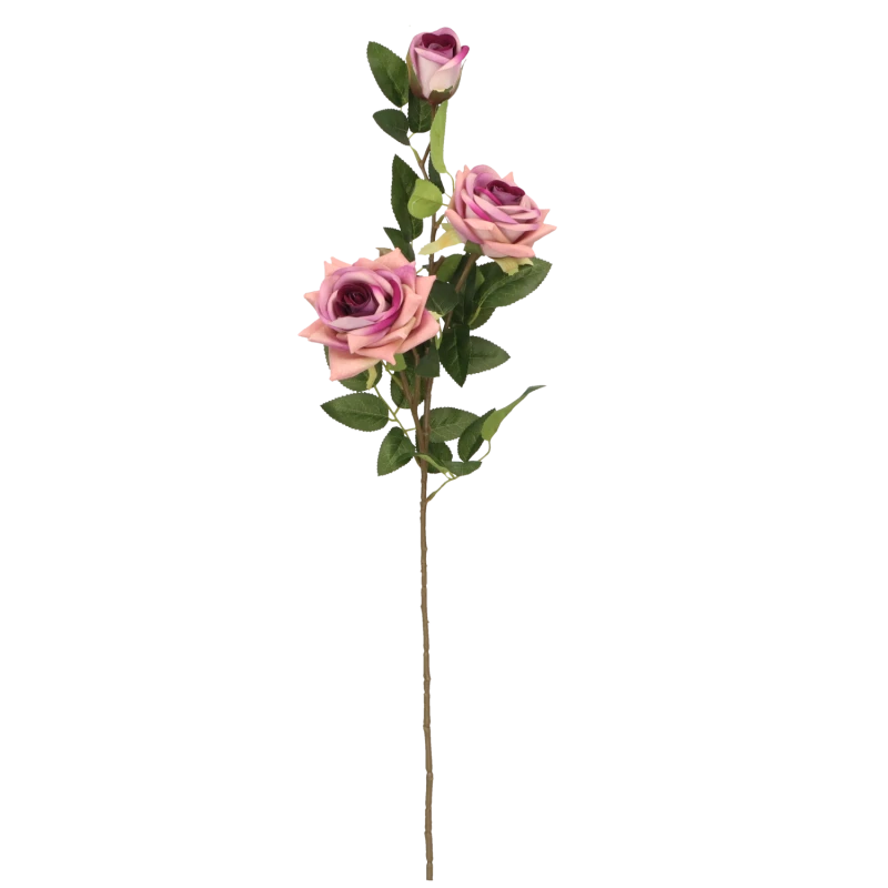 d1143181a7bfbc4d6388a6b026bb6029.png